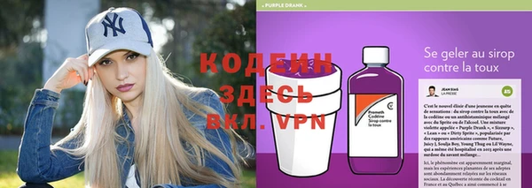 молекула духа Алзамай