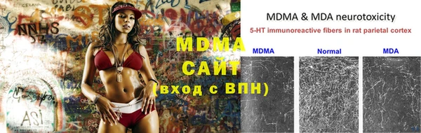 молекула духа Алзамай
