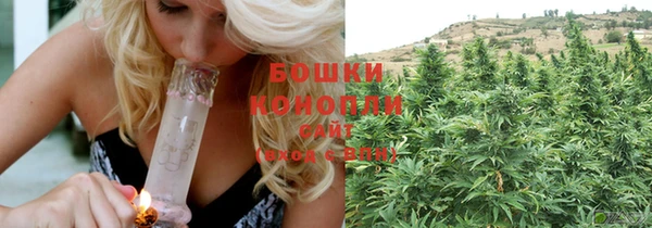 молекула духа Алзамай