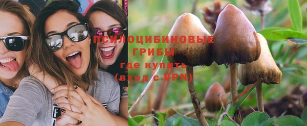 мяу мяу мука Алексин